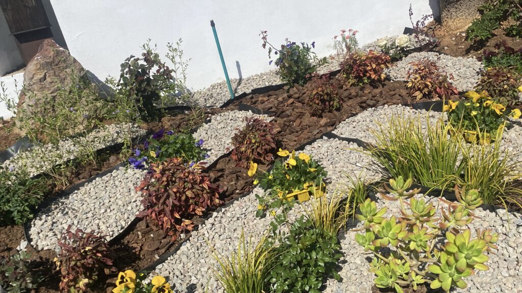 20250820_114220034_iOS