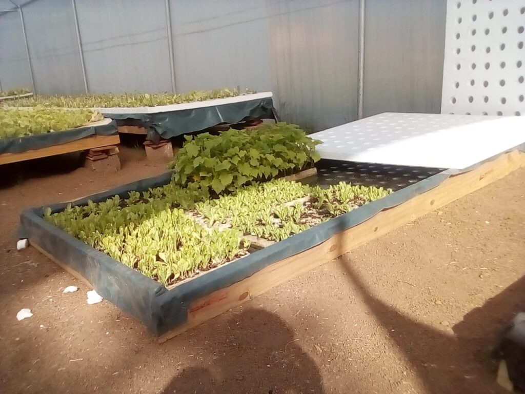 20211104_054436000_iOS