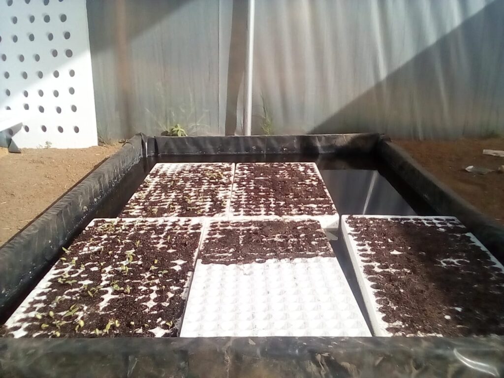 20211104_054437000_iOS