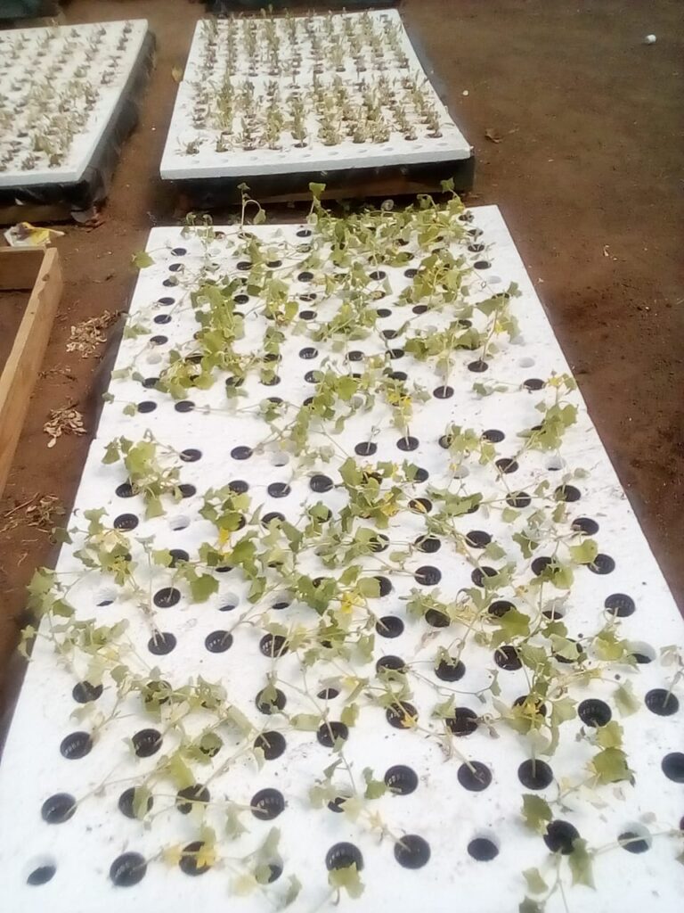 20211105_074442000_iOS