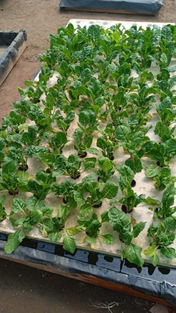 20220908_101722000_iOS