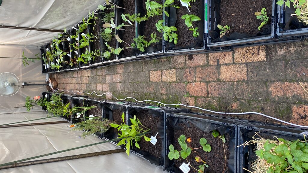 20240104_133117283_iOS