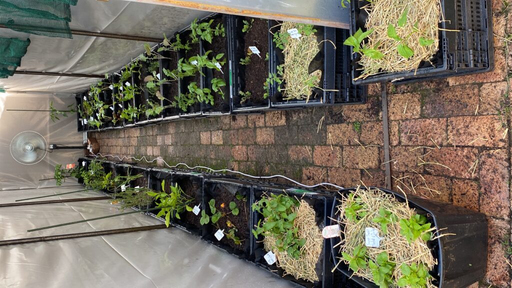 20240104_133123794_iOS