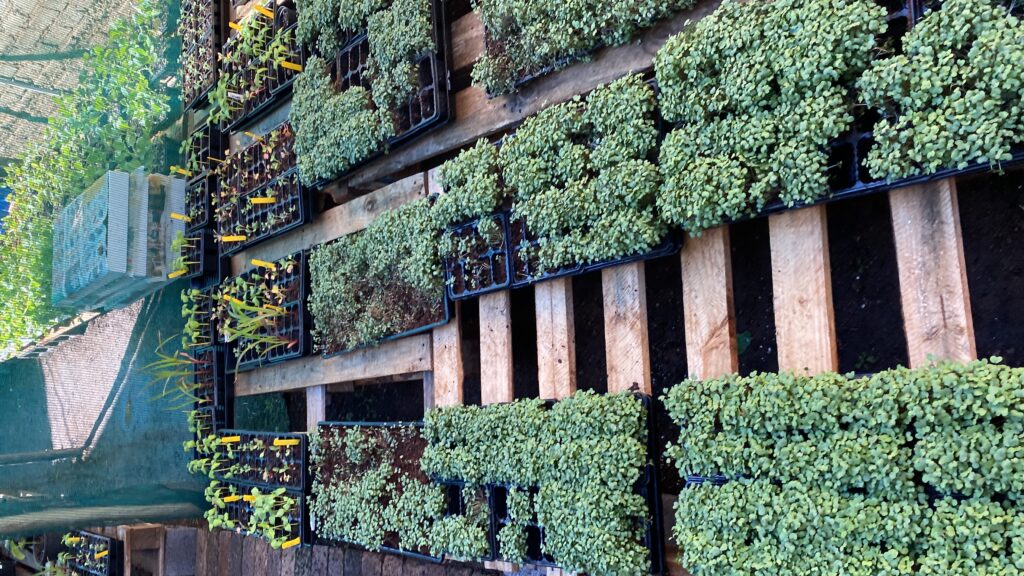 20240420_085118877_iOS