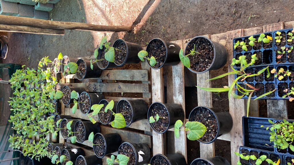 20240420_085124343_iOS