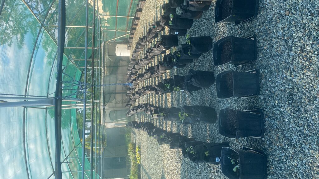 20250228_143859286_iOS