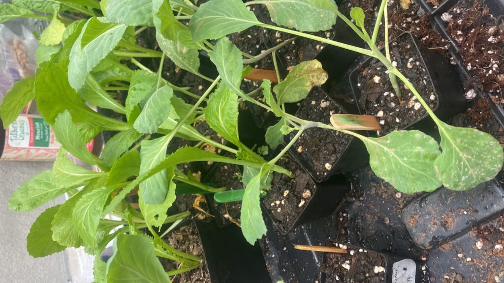 20250515_133630120_iOS