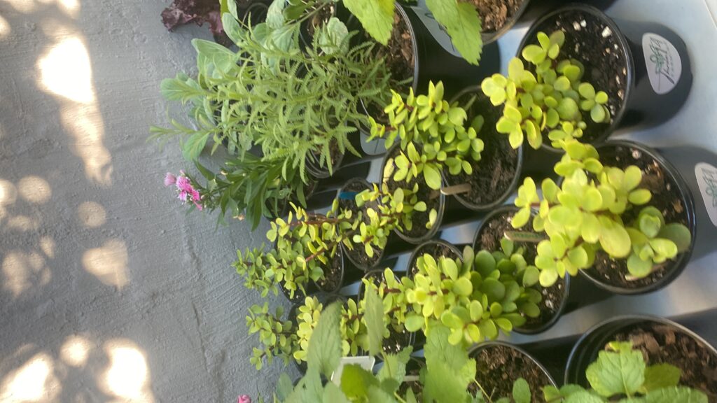 20250517_060458143_iOS