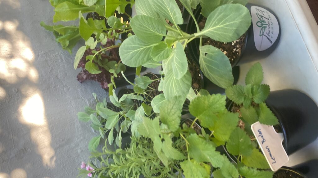 20250517_060459321_iOS