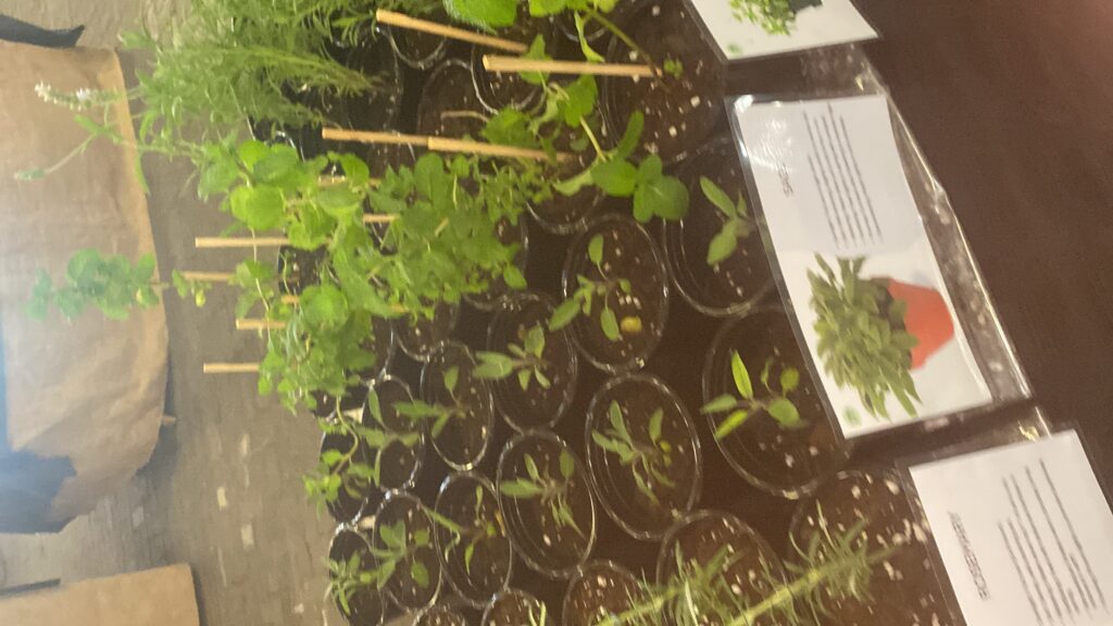 20250525_072608617_iOS