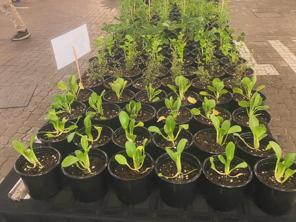 20250605_210640492_iOS