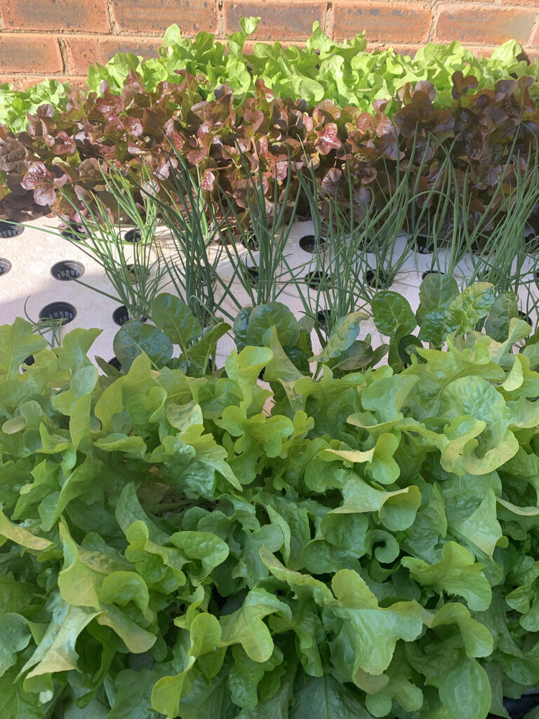 3F93ACB6-4233-4CC7-B6AC-450ECDA82422_1_105_c