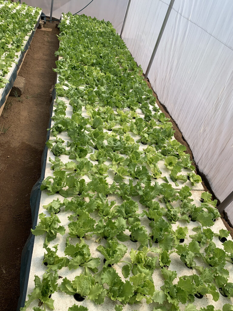 6293E2D5-24DA-4456-B449-EF70AE85A0D7_1_105_c