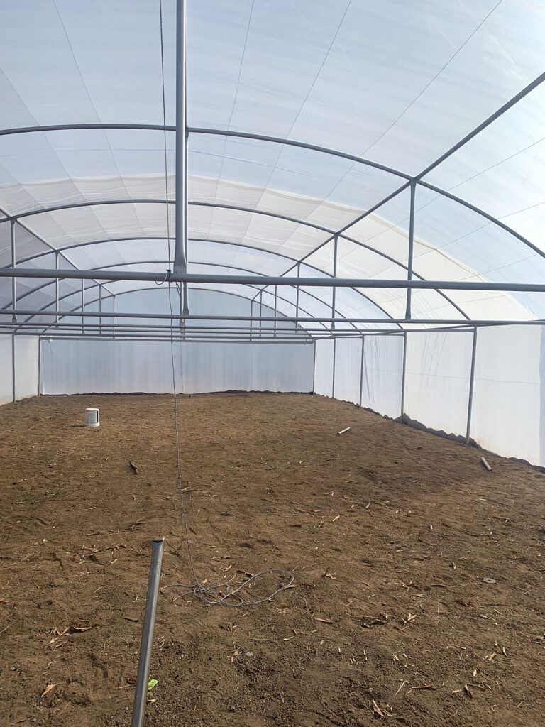 6772E617-61E7-4F5B-BAC6-FB85159FC624_1_105_c