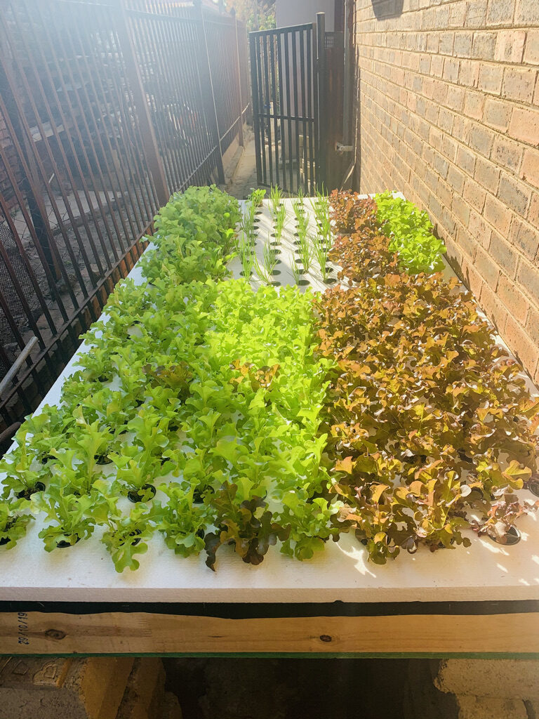 739E6494-090F-4278-AB84-2116EC4C35CF_1_105_c