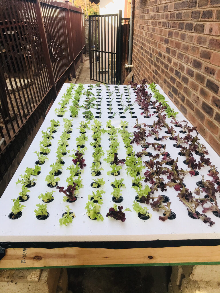 DCAFFE50-81F6-46C2-8B0A-46D77FE6CDCD_1_105_c