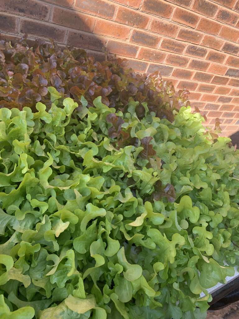 DE4C36BF-997B-423B-8C9D-9346FD760707_1_105_c