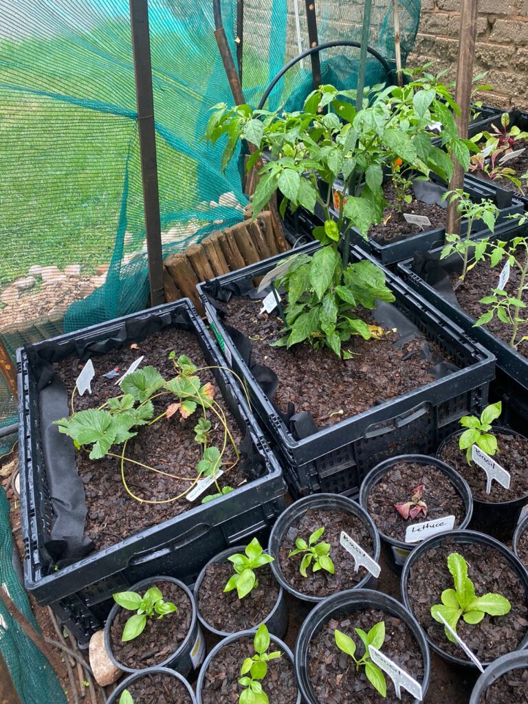 PHOTO-2024-01-17-21-01-01