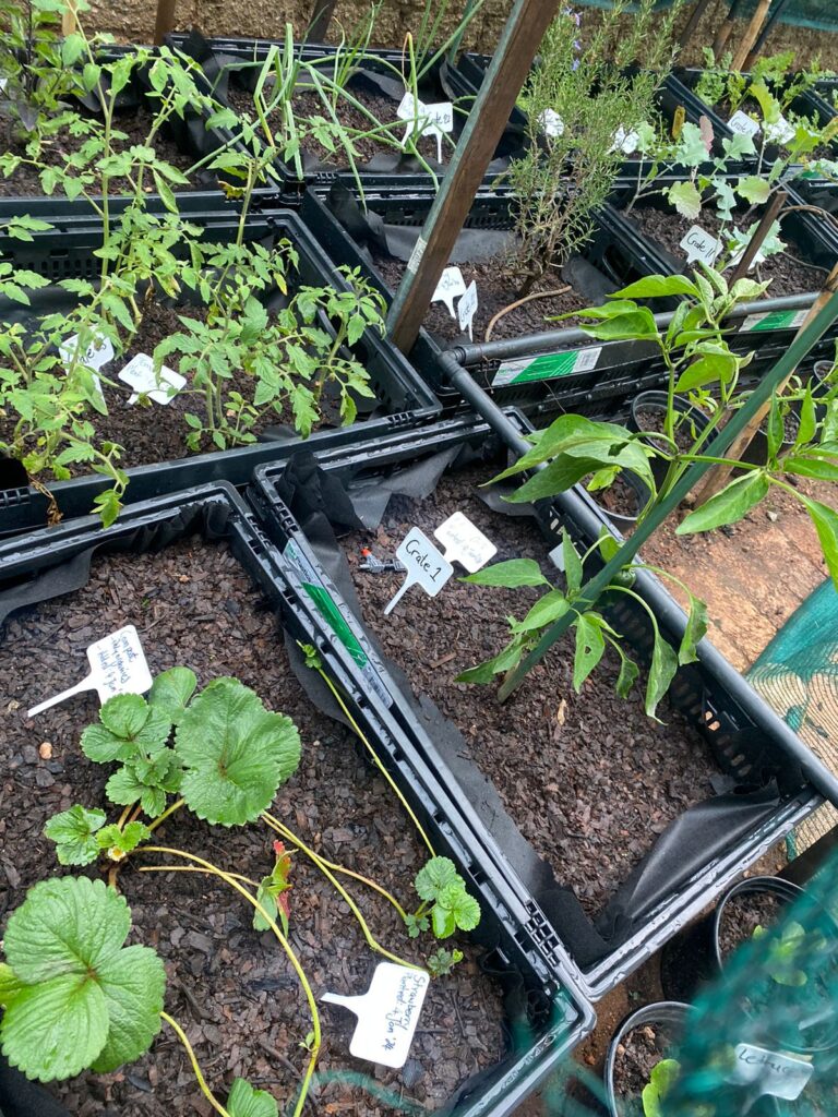 PHOTO-2024-01-17-21-01-02